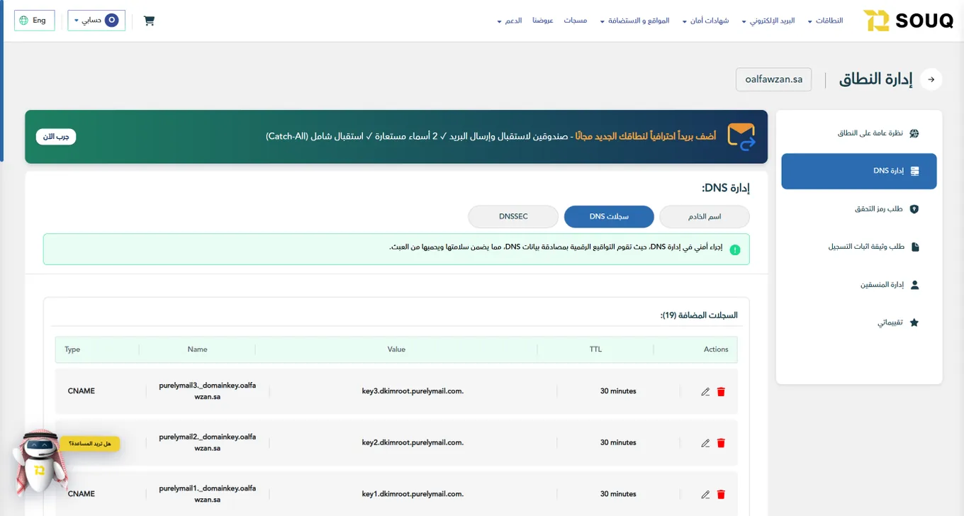لوحة إدارة سجلات DNS للنطاق في Souq T2